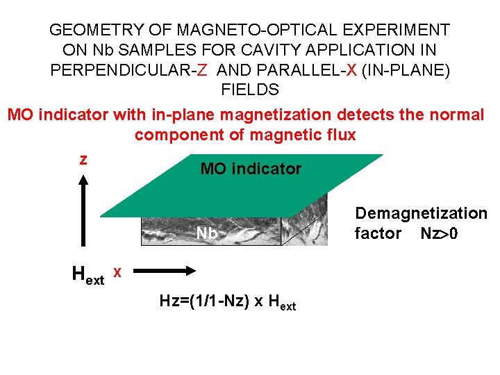 GEOMETRY OF MAGNETO-OPTICAL EXPERIMENT ON Nb SAMPLES FOR CAVITY APPLICATION IN PERPENDICULAR-Z AND PARALLEL-X