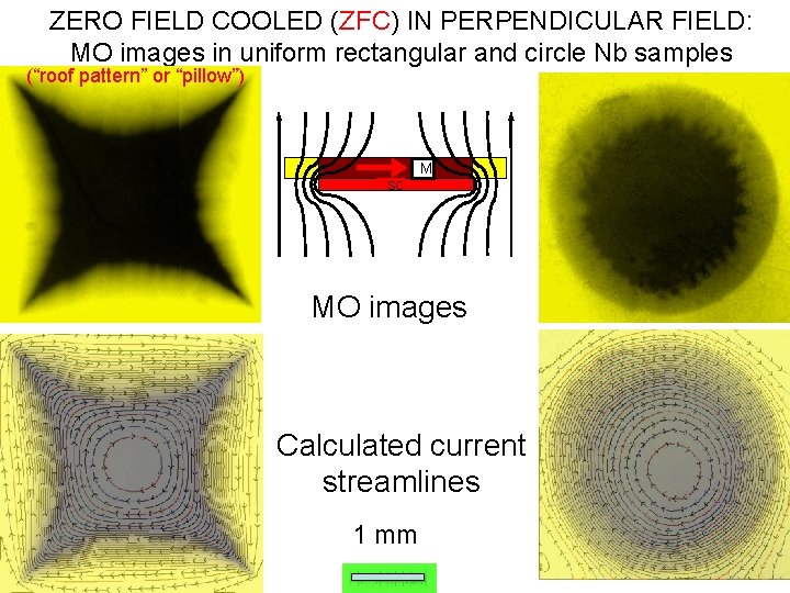 ZERO FIELD COOLED (ZFC) IN PERPENDICULAR FIELD: MO images in uniform rectangular and circle