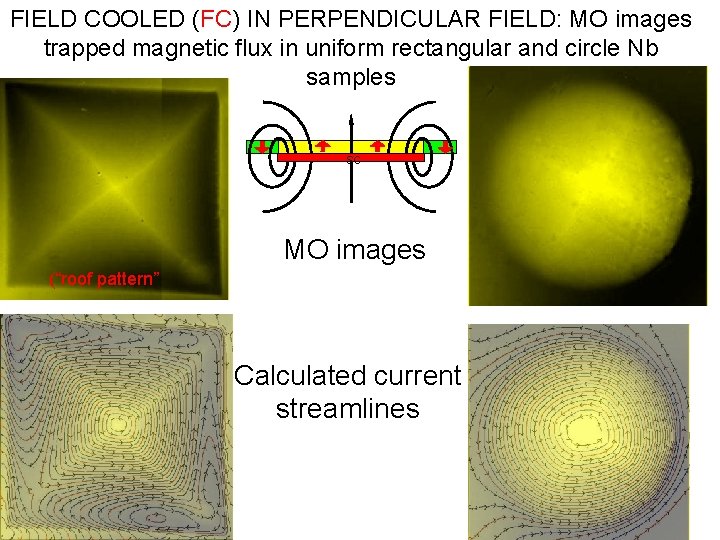 FIELD COOLED (FC) IN PERPENDICULAR FIELD: MO images trapped magnetic flux in uniform rectangular