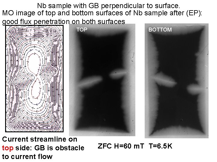 Nb sample with GB perpendicular to surface. MO image of top and bottom surfaces
