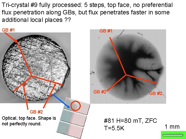 Tri-crystal #9 fully processed: 5 steps, top face, no preferential flux penetration along GBs,