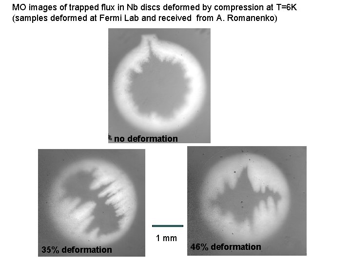 MO images of trapped flux in Nb discs deformed by compression at T=6 K
