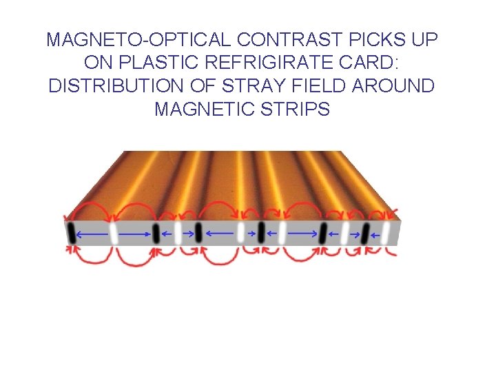 MAGNETO-OPTICAL CONTRAST PICKS UP ON PLASTIC REFRIGIRATE CARD: DISTRIBUTION OF STRAY FIELD AROUND MAGNETIC