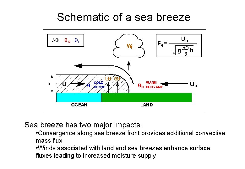 Schematic of a sea breeze Sea breeze has two major impacts: • Convergence along