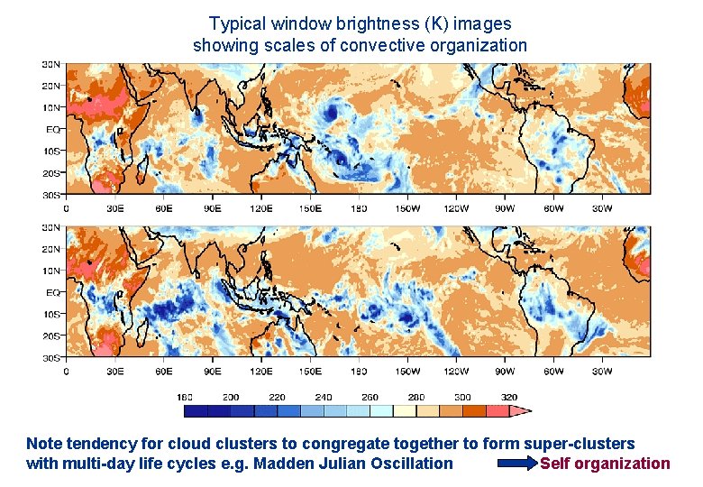 Typical window brightness (K) images showing scales of convective organization Note tendency for cloud