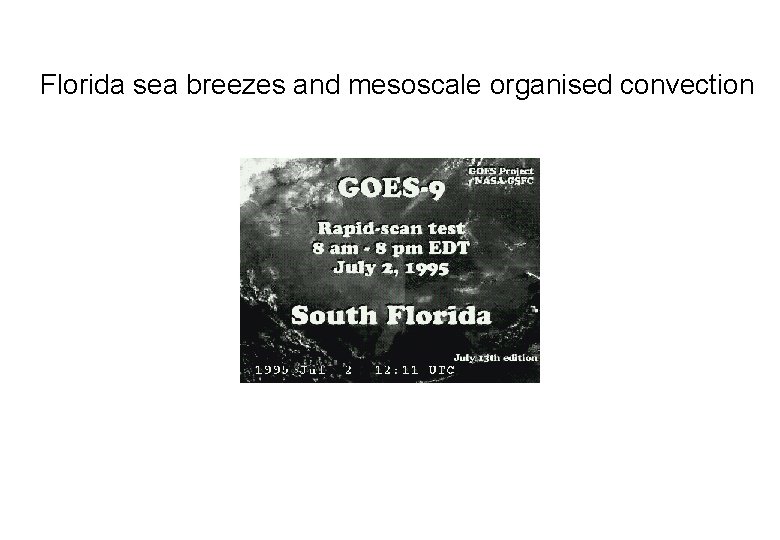 Florida sea breezes and mesoscale organised convection 