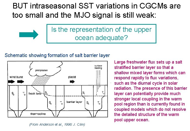 BUT intraseasonal SST variations in CGCMs are too small and the MJO signal is