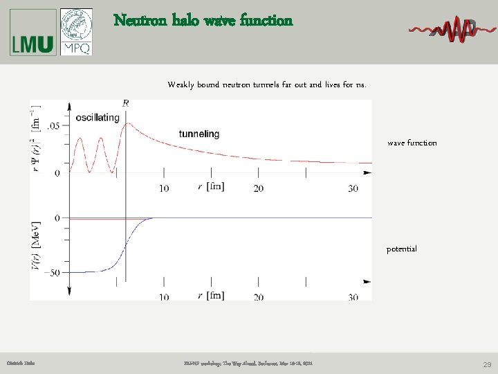 Neutron halo wave function Weakly bound neutron tunnels far out and lives for ns.