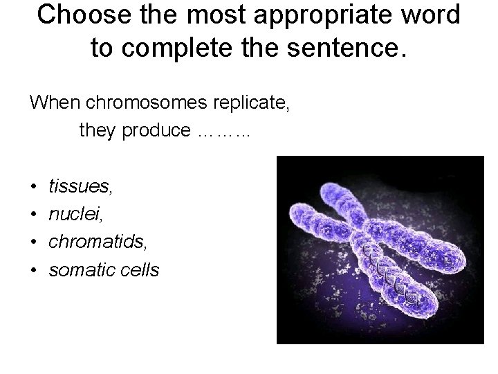Choose the most appropriate word to complete the sentence. When chromosomes replicate, they produce