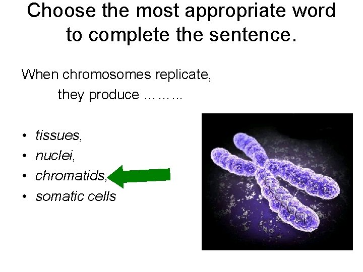 Choose the most appropriate word to complete the sentence. When chromosomes replicate, they produce