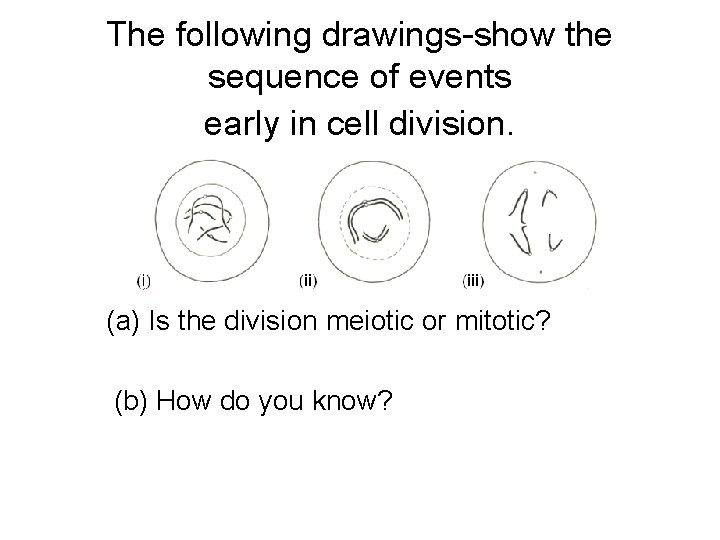 The following drawings-show the sequence of events early in cell division. (a) Is the