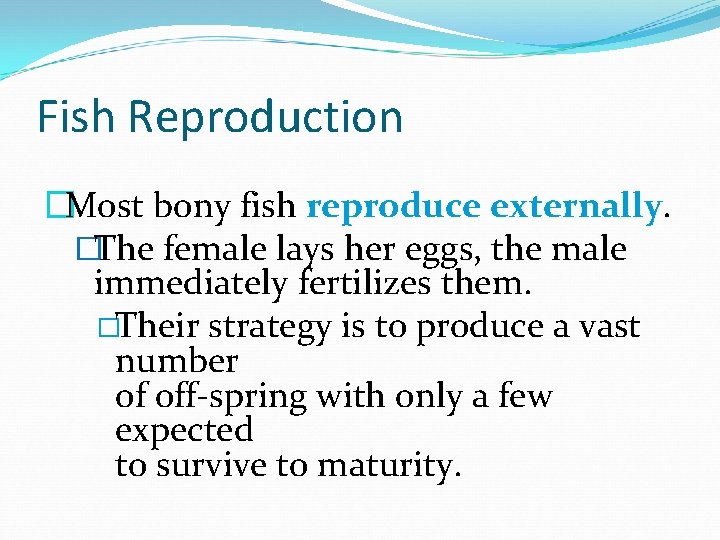 Fish Reproduction �Most bony fish reproduce externally. �The female lays her eggs, the male