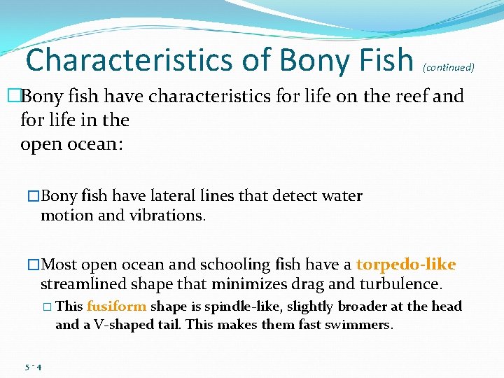 Characteristics of Bony Fish (continued) �Bony fish have characteristics for life on the reef