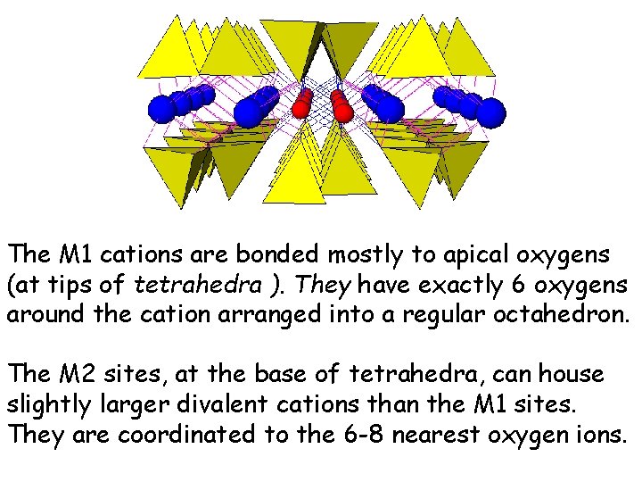 The M 1 cations are bonded mostly to apical oxygens (at tips of tetrahedra