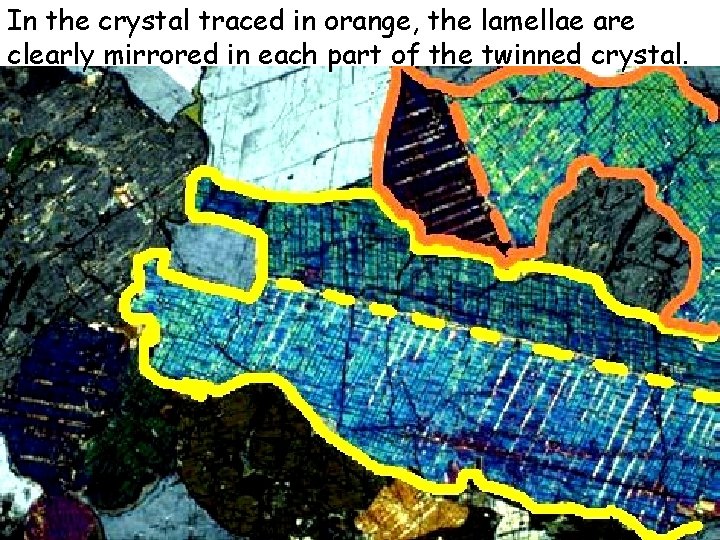 In the crystal traced in orange, the lamellae are clearly mirrored in each part