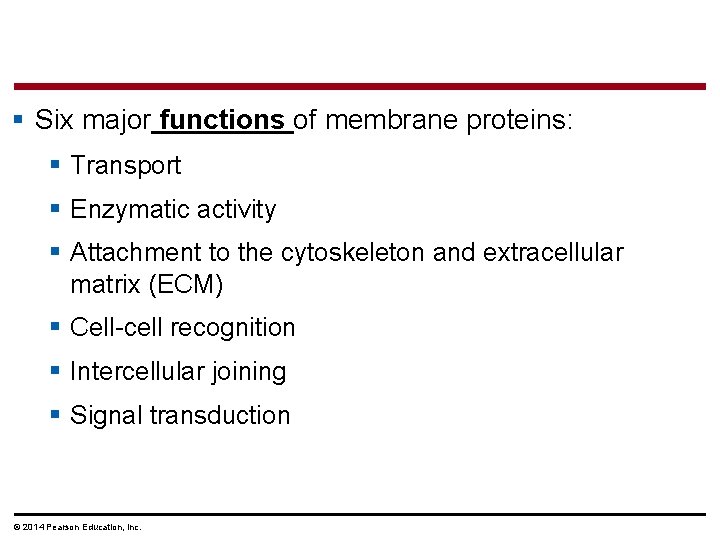 § Six major functions of membrane proteins: § Transport § Enzymatic activity § Attachment