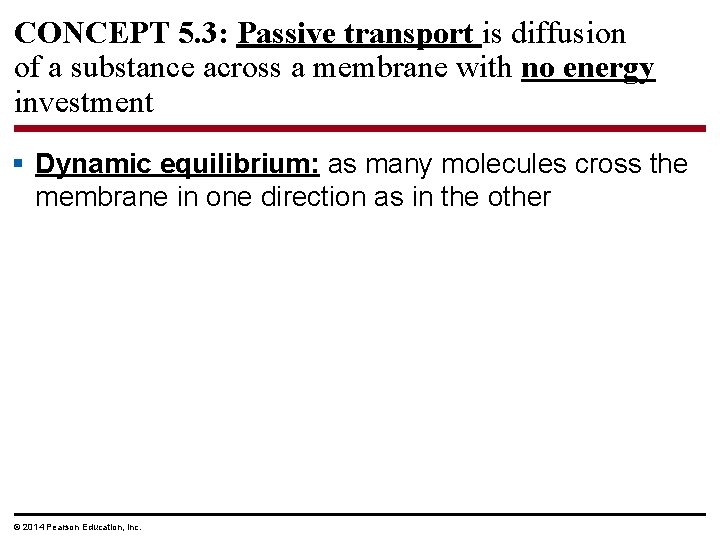 CONCEPT 5. 3: Passive transport is diffusion of a substance across a membrane with