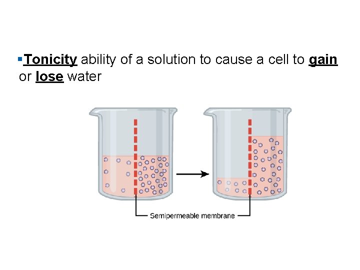 §Tonicity ability of a solution to cause a cell to gain or lose water