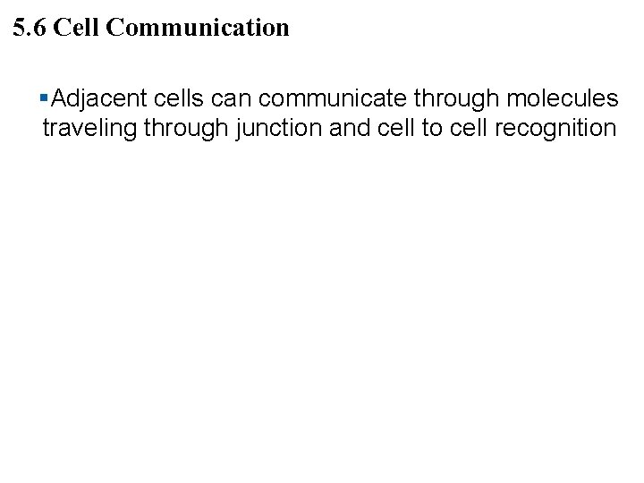 5. 6 Cell Communication §Adjacent cells can communicate through molecules traveling through junction and