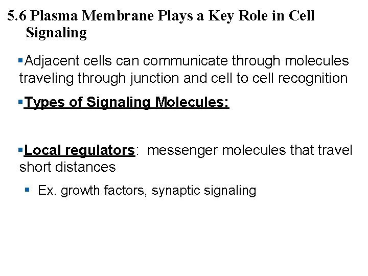 5. 6 Plasma Membrane Plays a Key Role in Cell Signaling §Adjacent cells can