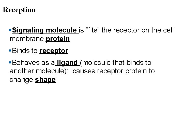 Reception §Signaling molecule is “fits” the receptor on the cell membrane protein §Binds to