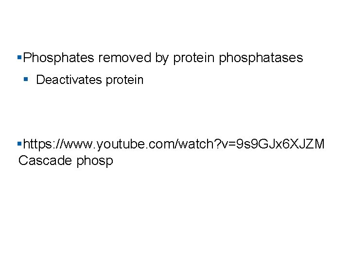 §Phosphates removed by protein phosphatases § Deactivates protein §https: //www. youtube. com/watch? v=9 s