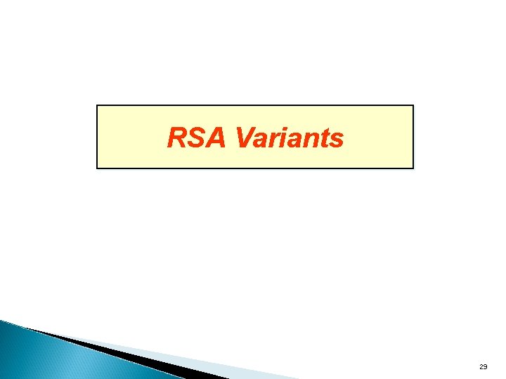 RSA Variants 29 