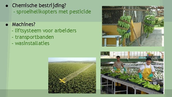 ● Chemische bestrijding? - sproeihelikopters met pesticide ● Machines? - liftsysteem voor arbeiders -