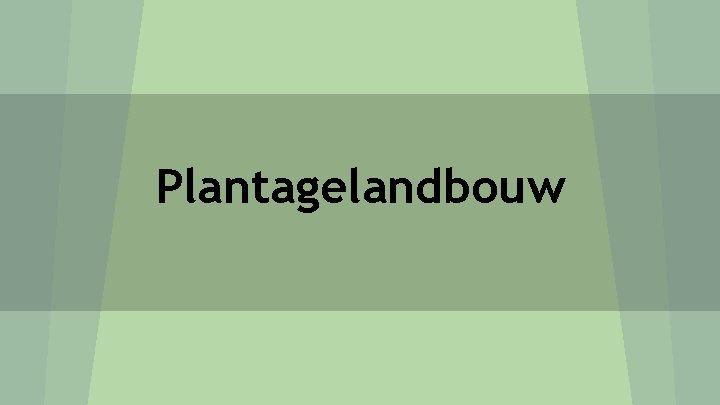 Plantagelandbouw 