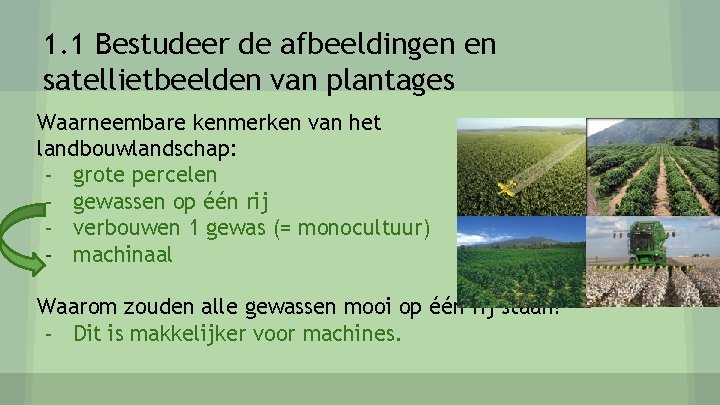 1. 1 Bestudeer de afbeeldingen en satellietbeelden van plantages Waarneembare kenmerken van het landbouwlandschap: