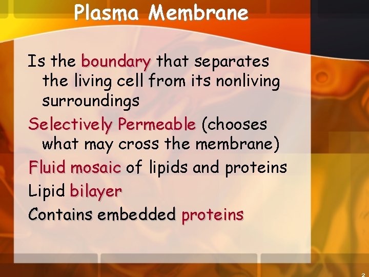 Plasma Membrane Is the boundary that separates the living cell from its nonliving surroundings