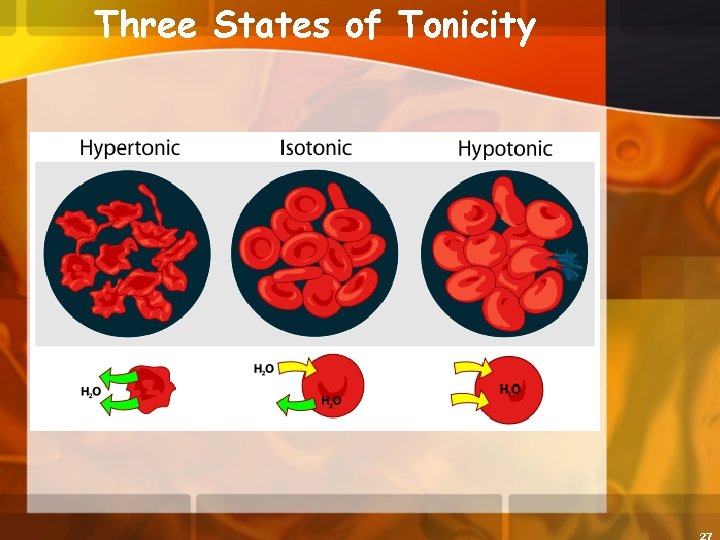 Three States of Tonicity 