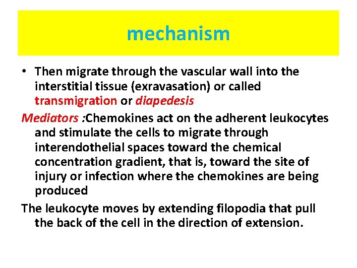 mechanism • Then migrate through the vascular wall into the interstitial tissue (exravasation) or