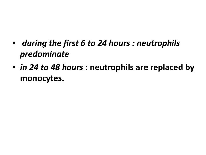  • during the first 6 to 24 hours : neutrophils predominate • in