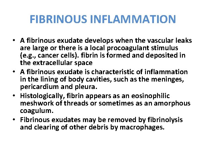 FIBRINOUS INFLAMMATION • A fibrinous exudate develops when the vascular leaks are large or