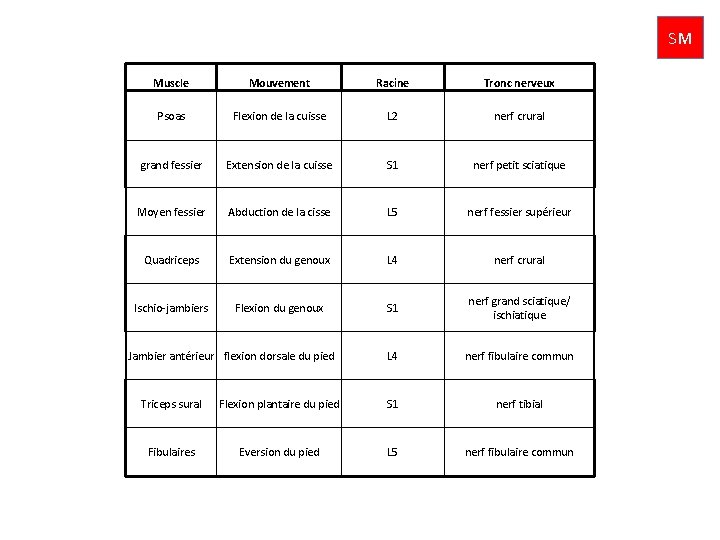 SM Muscle Mouvement Racine Tronc nerveux Psoas Flexion de la cuisse L 2 nerf