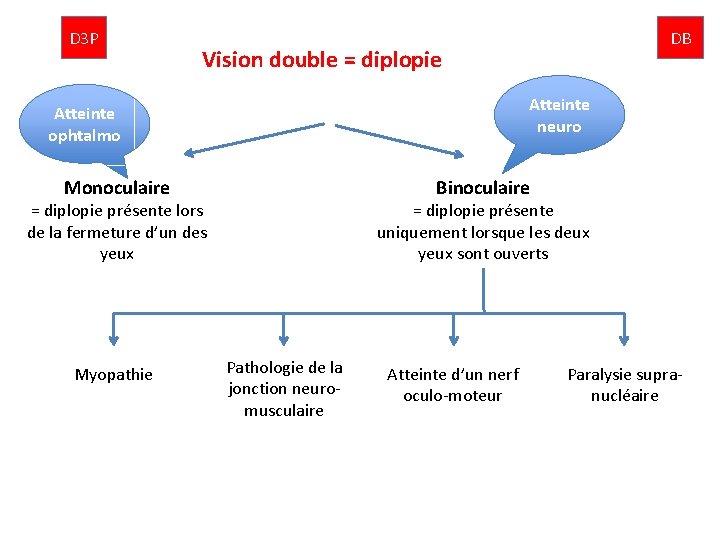 D 3 P Vision double = diplopie Atteinte neuro Atteinte ophtalmo Monoculaire Binoculaire =