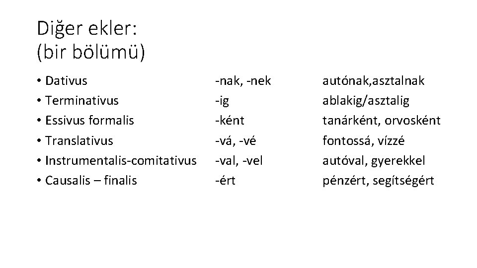 Diğer ekler: (bir bölümü) • Dativus • Terminativus • Essivus formalis • Translativus •