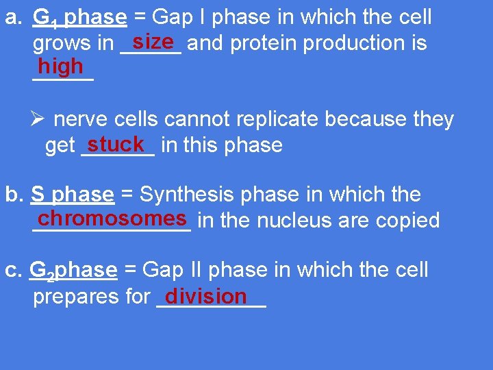 a. G 1 phase = Gap I phase in which the cell size and