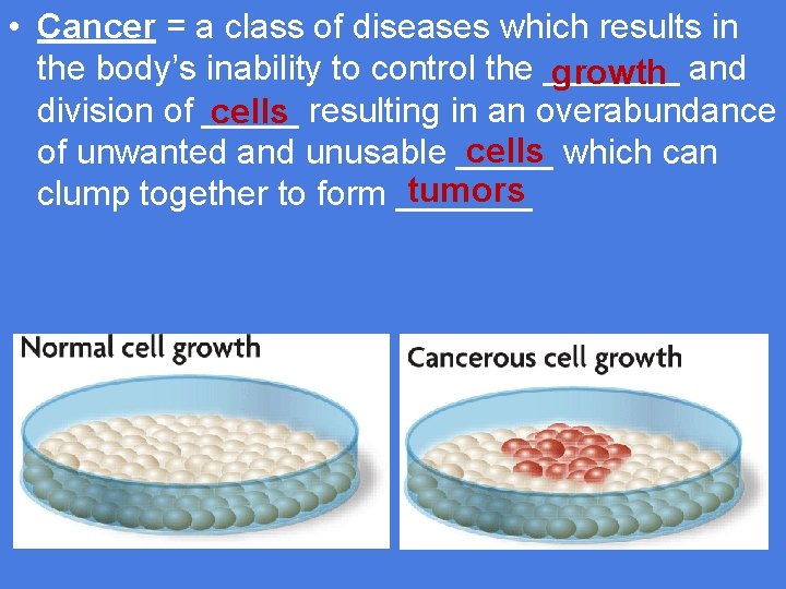  • Cancer = a class of diseases which results in the body’s inability