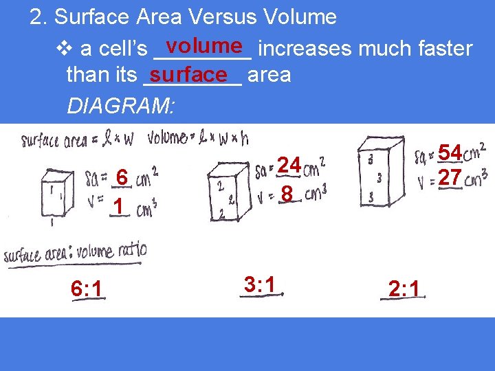 2. Surface Area Versus Volume volume increases much faster v a cell’s ____ surface