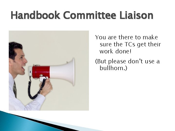 Handbook Committee Liaison You are there to make sure the TCs get their work