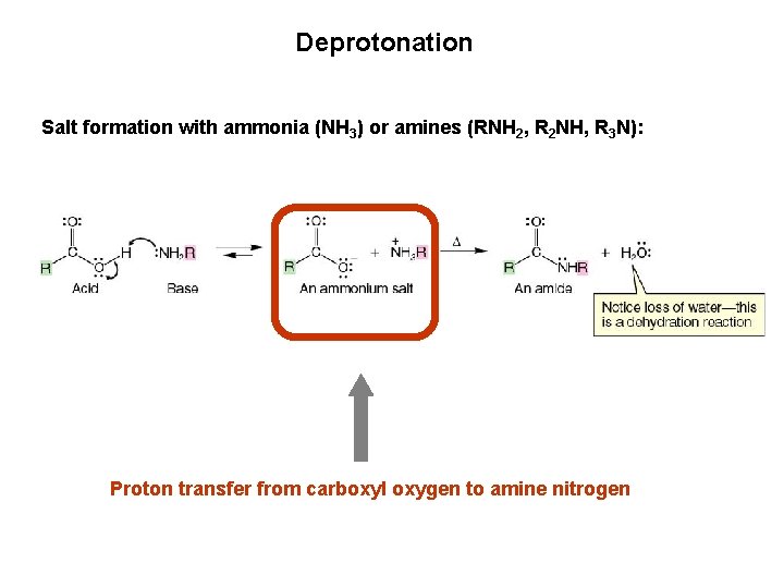 Deprotonation Salt formation with ammonia (NH 3) or amines (RNH 2, R 2 NH,