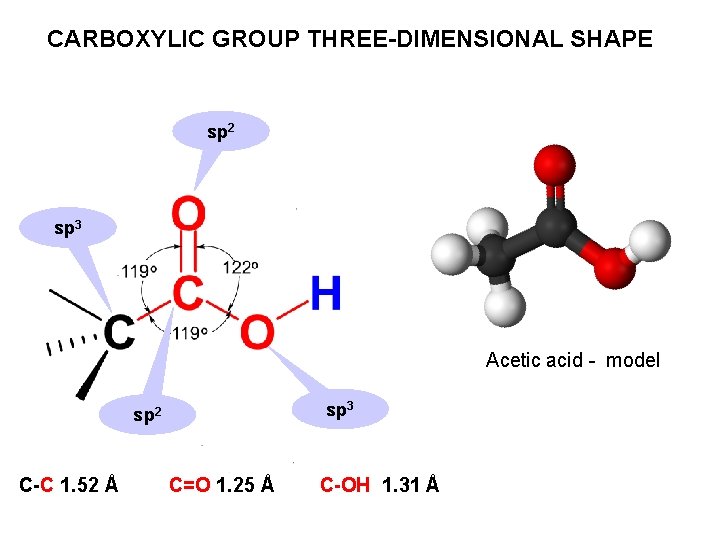 CARBOXYLIC GROUP THREE-DIMENSIONAL SHAPE sp 2 sp 3 Acetic acid - model sp 3 CARBOXYLIC GROUP THREE-DIMENSIONAL SHAPE sp 2 sp 3 Acetic acid - model sp 3