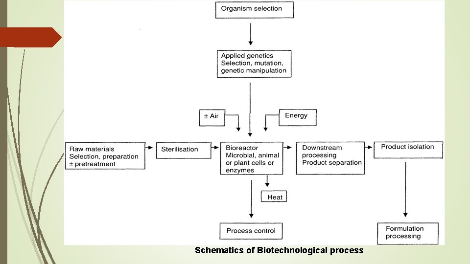 Schematics of Biotechnological process 