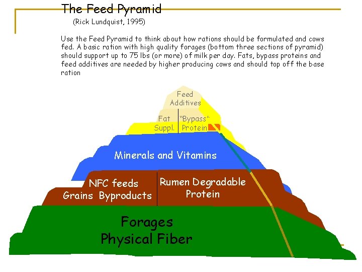 The Feed Pyramid (Rick Lundquist, 1995) Use the Feed Pyramid to think about how