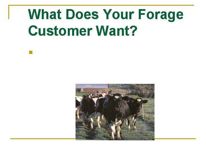 What Does Your Forage Customer Want? n 