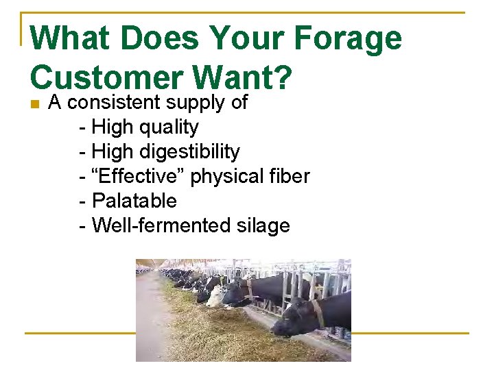 What Does Your Forage Customer Want? n A consistent supply of - High quality