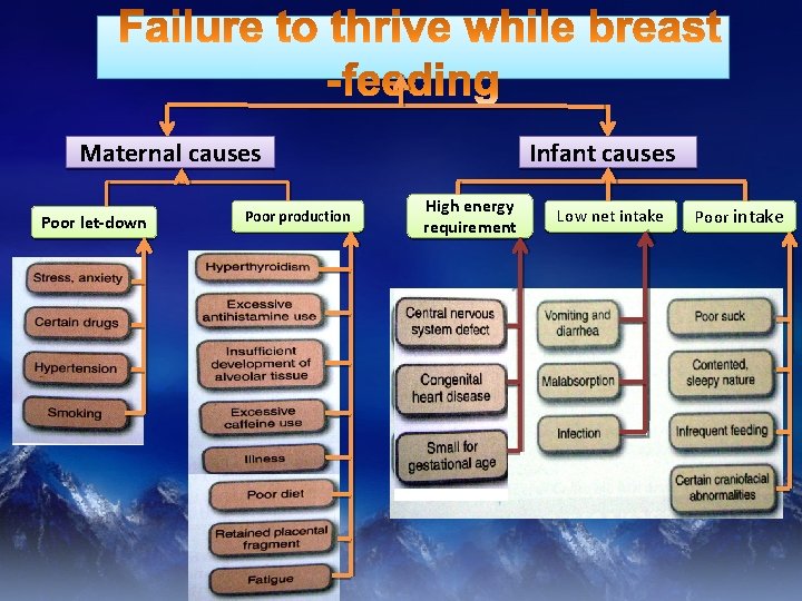 Maternal causes Poor let-down Poor production Infant causes High energy requirement Low net intake