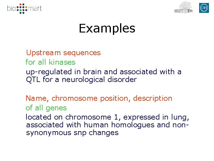 Examples Upstream sequences for all kinases up-regulated in brain and associated with a QTL